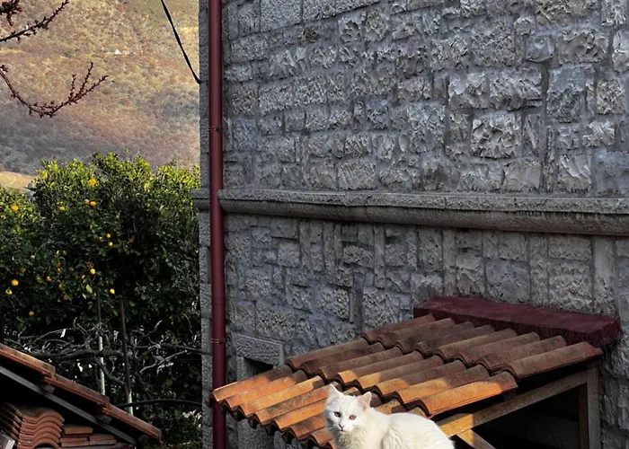 Affittacamere Annapolis 3*