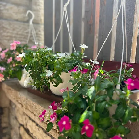 Casa de hóspedes Annapolis